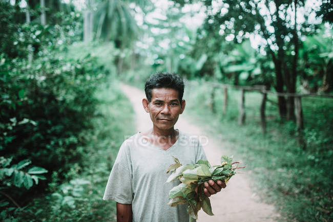 Laos, 4000 Inseln: Senior hält Laubhaufen in der Hand und blickt auf Feldweg in die Kamera. — Stockfoto