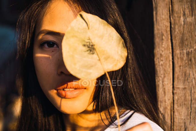 Молодая женщина держит сухой лист перед лицом и смотрит в камеру — стоковое фото