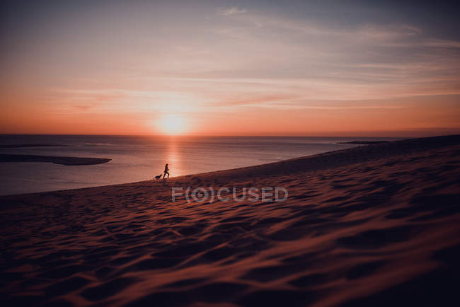 Fernsicht einer Frau mit kleinem Hund beim Gassigehen am Sandstrand bei Sonnenuntergang — Stockfoto