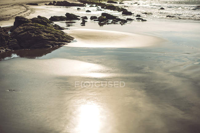 Rocks at sand shore line on sunny day — Stock Photo
