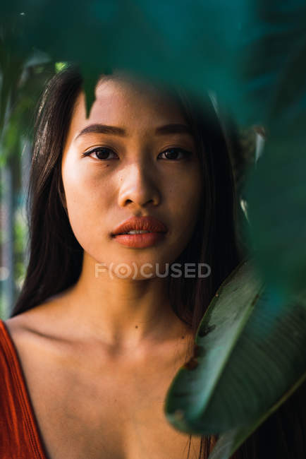 Mulher sensual em pé no mato e olhando para a câmera — Fotografia de Stock