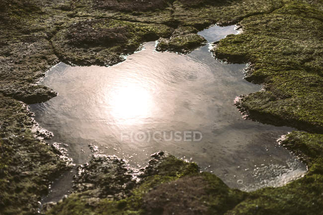 Riflessione solare in piccola pozzanghera in pietra ricoperta di muschio
. — Foto stock