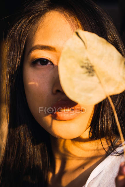 Retrato de mulher jovem com folha seca ao pôr do sol luz — Fotografia de Stock