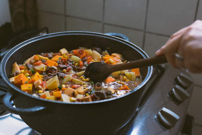 Recadrer la main féminine en remuant avec de la viande de ragoût de spatule en bois dans un pot sur le poêle — Photo de stock