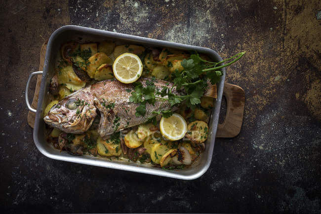 From above roasted fish with potatoes and salad. — Stock Photo