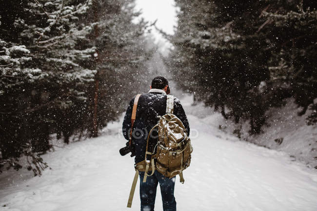 Rear view of tourist standing on road in snowy forest — Stock Photo