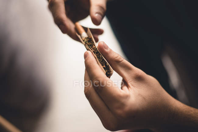 Crop male hands rolling joint — Stock Photo
