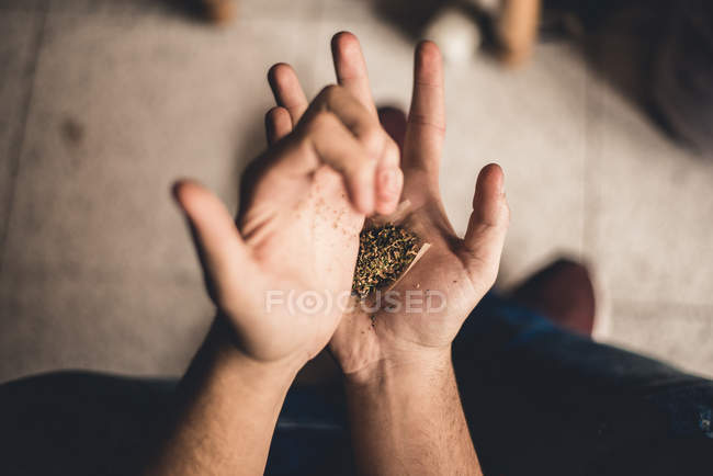 De arriba manos masculinas vertiendo hierba sobre papel ondulado - foto de stock