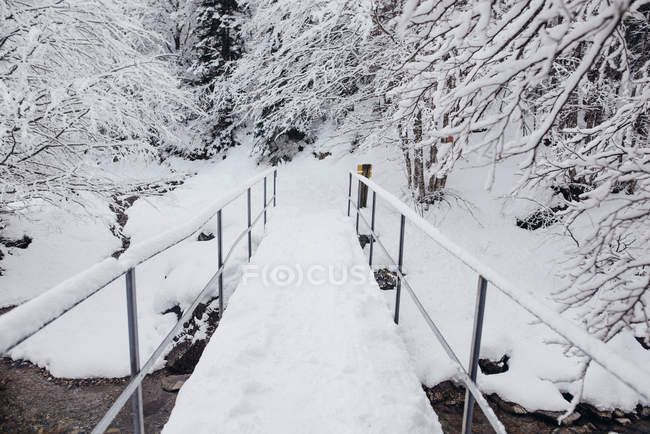 Bridge path covered with snow in winter nature. — Stock Photo