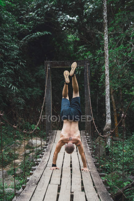 Вид сзади на мужчину без рубашки, стоящего на руках на ворчливом деревянном мосту в зеленом лесу . — стоковое фото