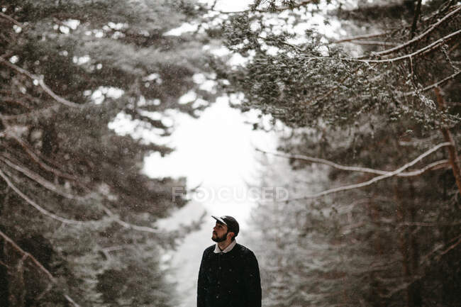Tourist standing in snowy forest COMMUNIQUÉ — Photo de stock