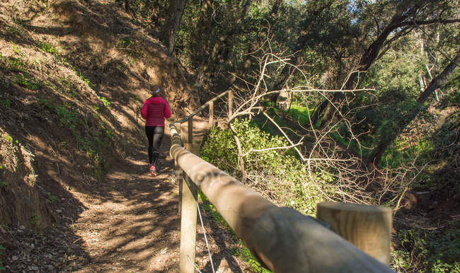 Rückansicht Frau joggt auf Waldweg — Stockfoto