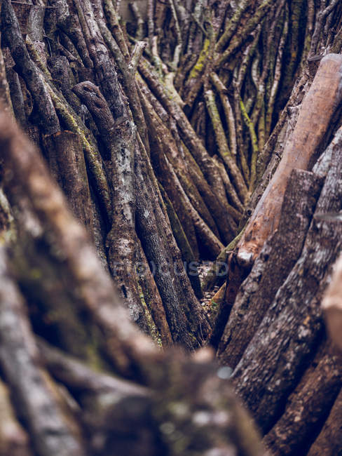 Повнокадровий знімок дерев'яних гілок, нахилених на стіну — стокове фото