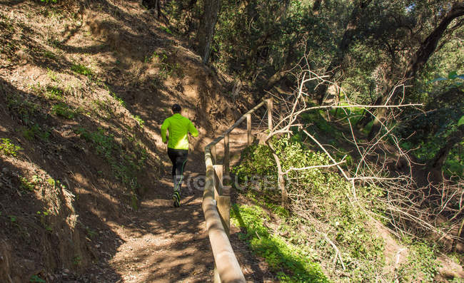Vista posteriore dell'uomo che fa jogging sul sentiero forestale — Foto stock