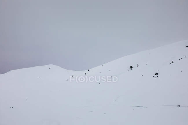 Snowy landscape of mountains over gloom sky — Stock Photo