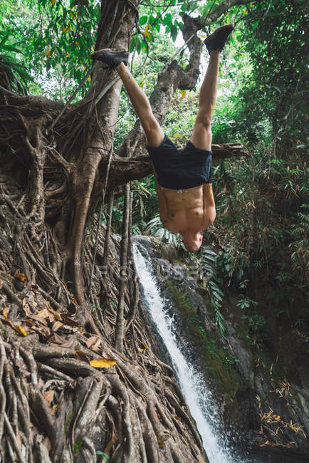 Мужчина без рубашки висит на дереве в джунглях — стоковое фото