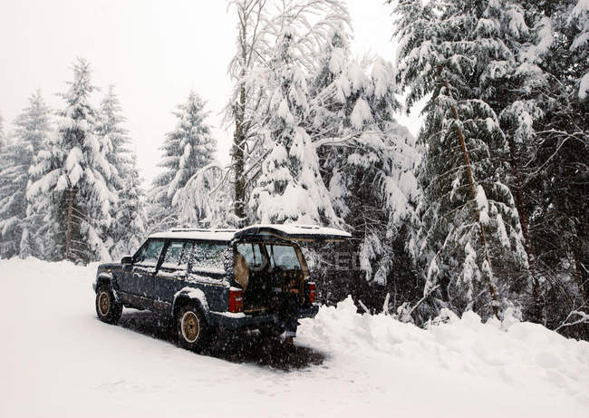 Seitenansicht eines im Winter auf schneeglatter Straße geparkten Autos. — Stockfoto