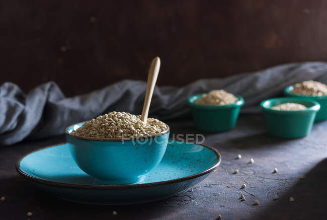 Still life of ceramic bowl filled with cereals and wheat flakes on plate. — Stock Photo