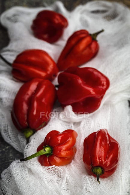 Still life of fresh red peppers on rural white fabric — Stock Photo