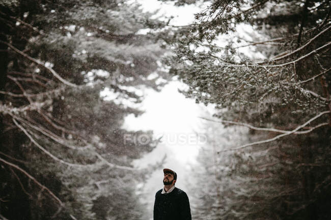 Tourist standing in snowy forest RELEASE — Stock Photo