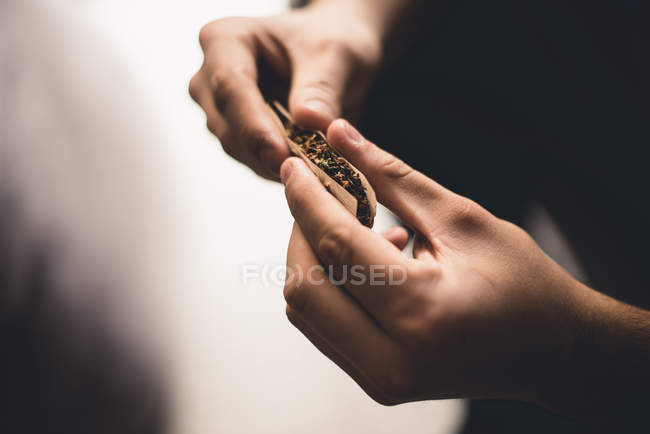 Кукуруза мужской руки катит сигарету с травкой — стоковое фото
