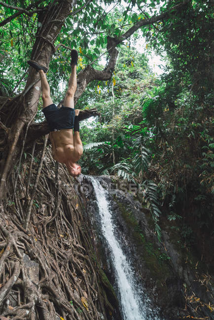 Веселый человек висит вверх ногами на дереве над лесной рекой — стоковое фото