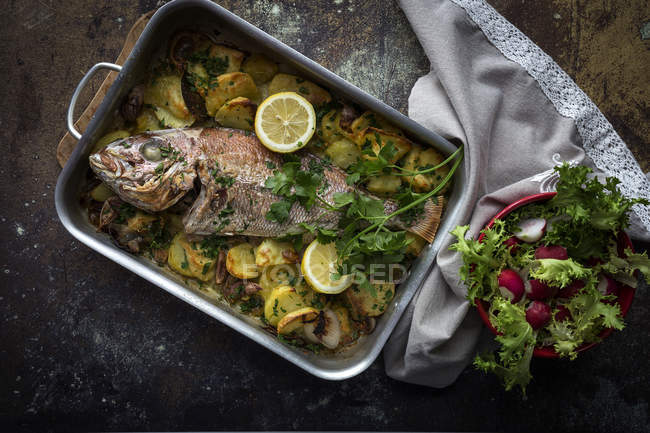 Natura morta di pesce arrosto con patate e insalata fresca . — Foto stock