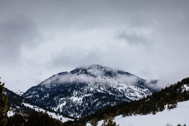Paesaggio idilliaco di montagna e cielo nebbioso — Foto stock
