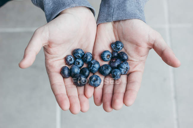 Crop hands with ripe blueberries. — Stock Photo