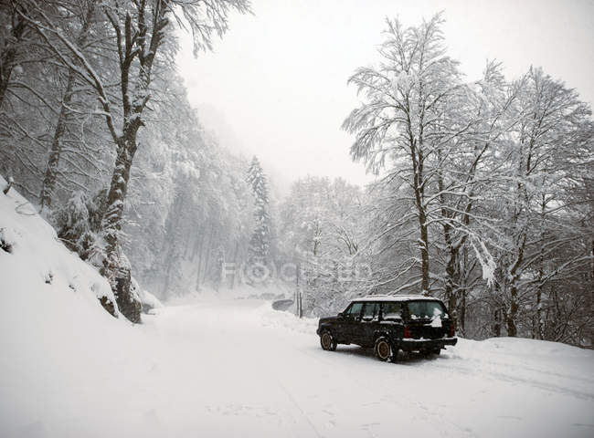 Auto nera parcheggiata su strada innevata nei boschi invernali — Foto stock