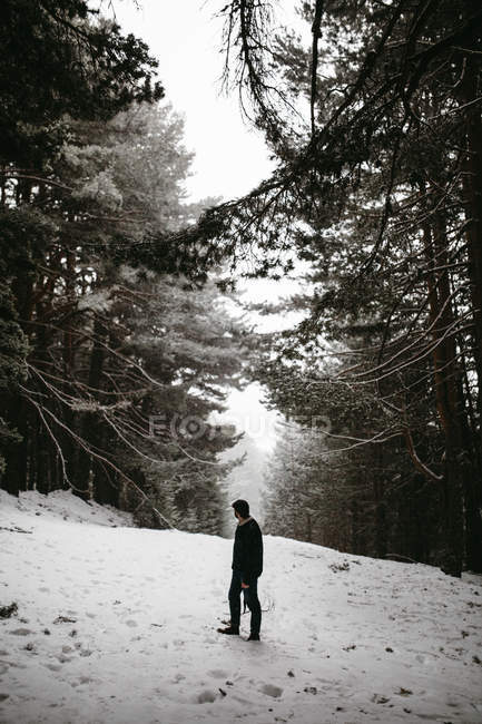 Туристичні прогулянки у засніжений ліс і дивитися через плече геть — стокове фото