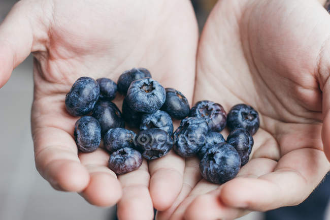 Close-up cupped hands with ripe blueberries. — Stock Photo