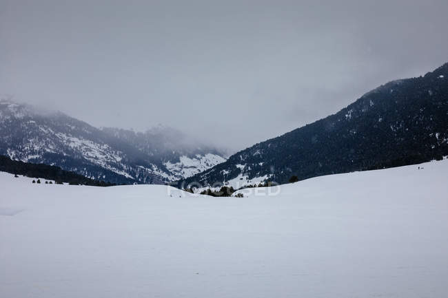 Tranquilo paisagem nevada do vale da montanha e picos nebulosos — Fotografia de Stock