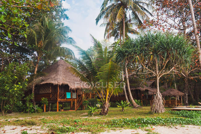 Exterior de cabanas tropicais no prado da selva — Fotografia de Stock