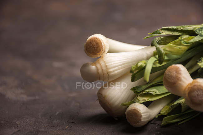 Cropped image of bunch of green garlic — Stock Photo
