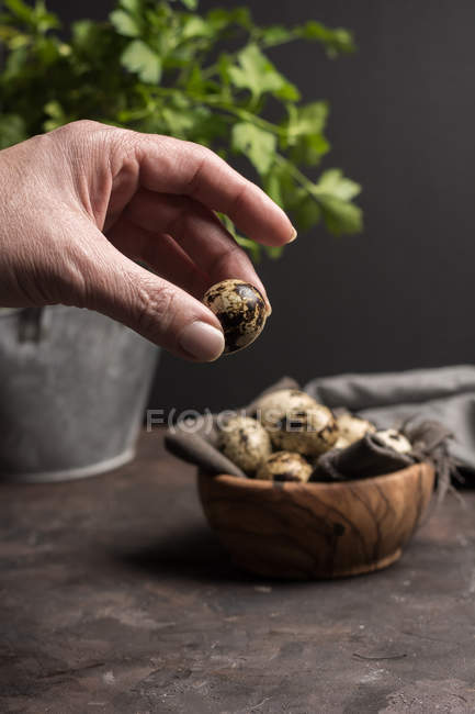 Crop male hand holding egg of quail over table with wooden bowl — Stock Photo