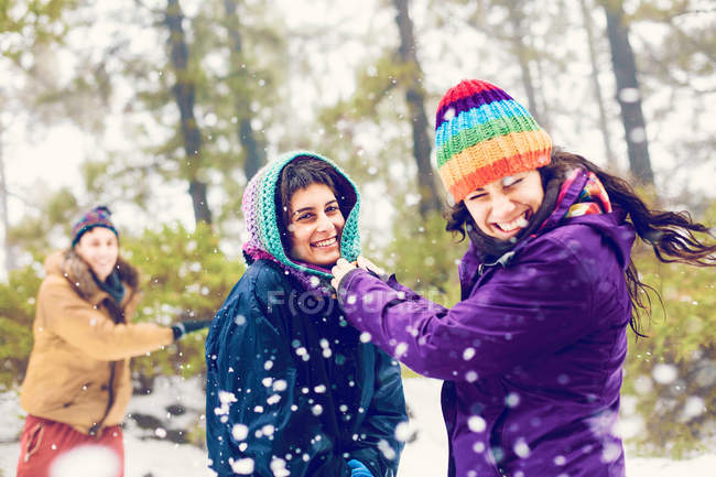 Amigos felices jugando bolas de nieve en el bosque - foto de stock