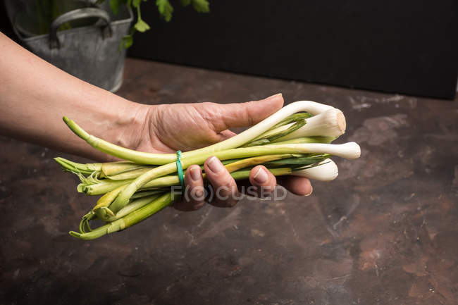 Crop male hand holding bunch of garlic against table — Stock Photo