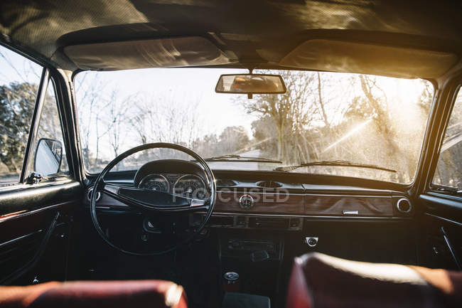 Innenraum eines in der Natur geparkten Oldtimers bei sonnigem Tag. — Stockfoto