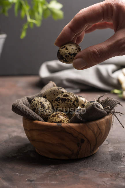 Vários ovos de codorniz em uma tigela de madeira. Comida gourmet, pronta para ser cozida . — Fotografia de Stock