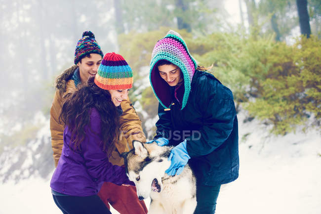 Happy friends stroking dog in snowy woods — Stock Photo