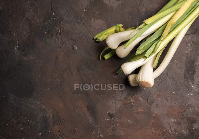 From above view of bunch of garlic on stone surface — Stock Photo