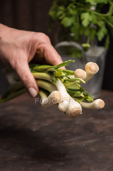 Männliche Hand hält Knoblauchstrauß über Tisch — Stockfoto