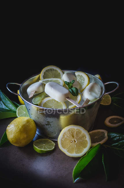 Tasty ice cream with lemon slices in metal bowl — Stock Photo