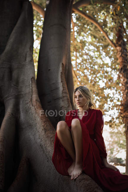 Zarte Frau im Kleid sitzt auf riesigem Baum — Stockfoto