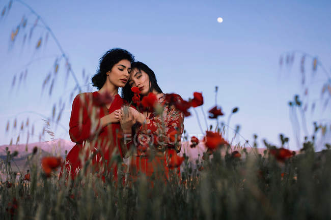 Schöne brünette Mädchen in roten Umarmung im Feld — Stockfoto