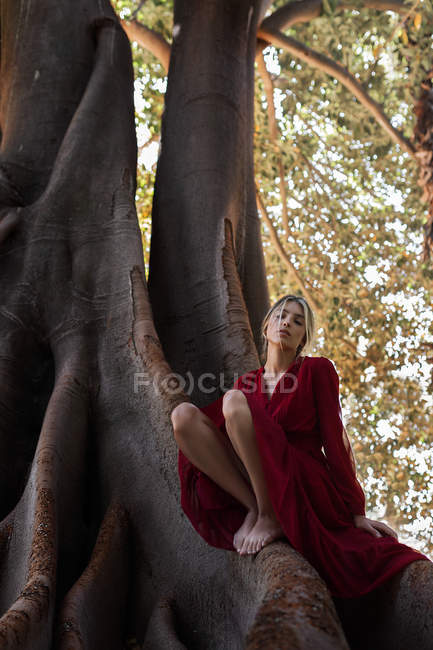 Barefoot blond girl in red dress sitting on trunk of huge trees in forest. — Stock Photo