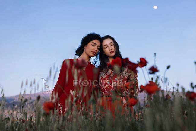 Brünette Mädchen umarmen sich im Mohnfeld gegen den Himmel — Stockfoto