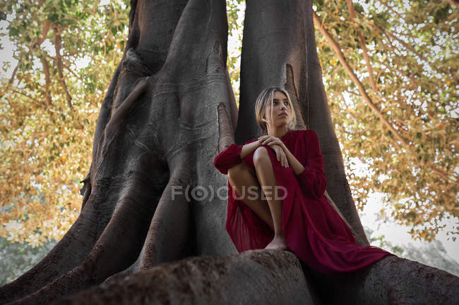 Zarte Frau im Kleid sitzt auf Wurzeln eines riesigen Baumes — Stockfoto