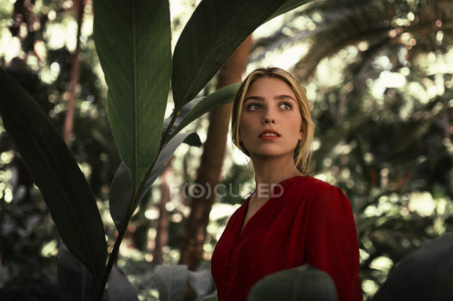Sinnliches blondes Mädchen, das im exotischen Laub steht und wegschaut. — Stockfoto